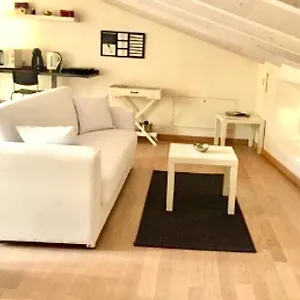 Residenza Virgiliana Con Terrazza-centro Storico Mantua